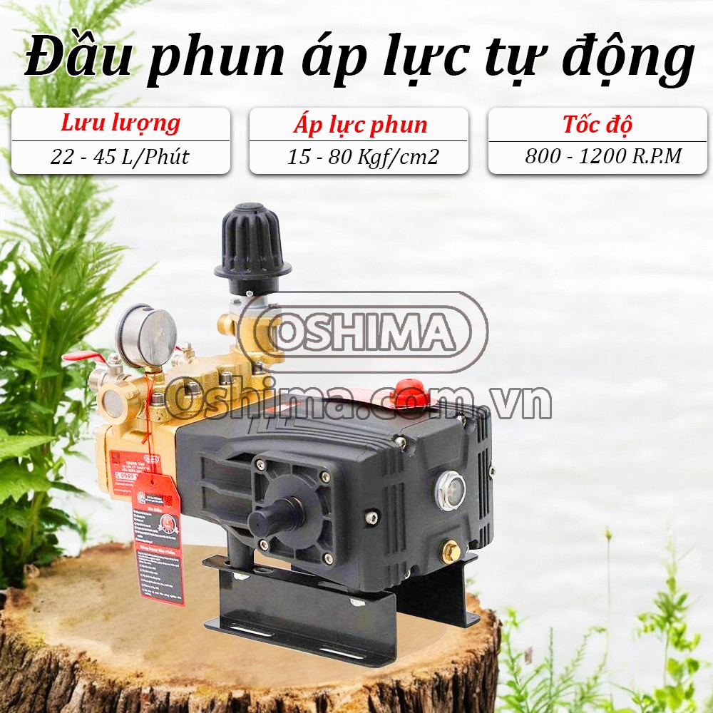 Thông số kỹ thuật Oshima OS - 30H100 5.0HP