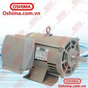Motor Oshima OS-12